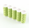 Ackermann Embroidery N�hgarn St�rke 40 - 5x 260 m, Farbe 3551 gr�n